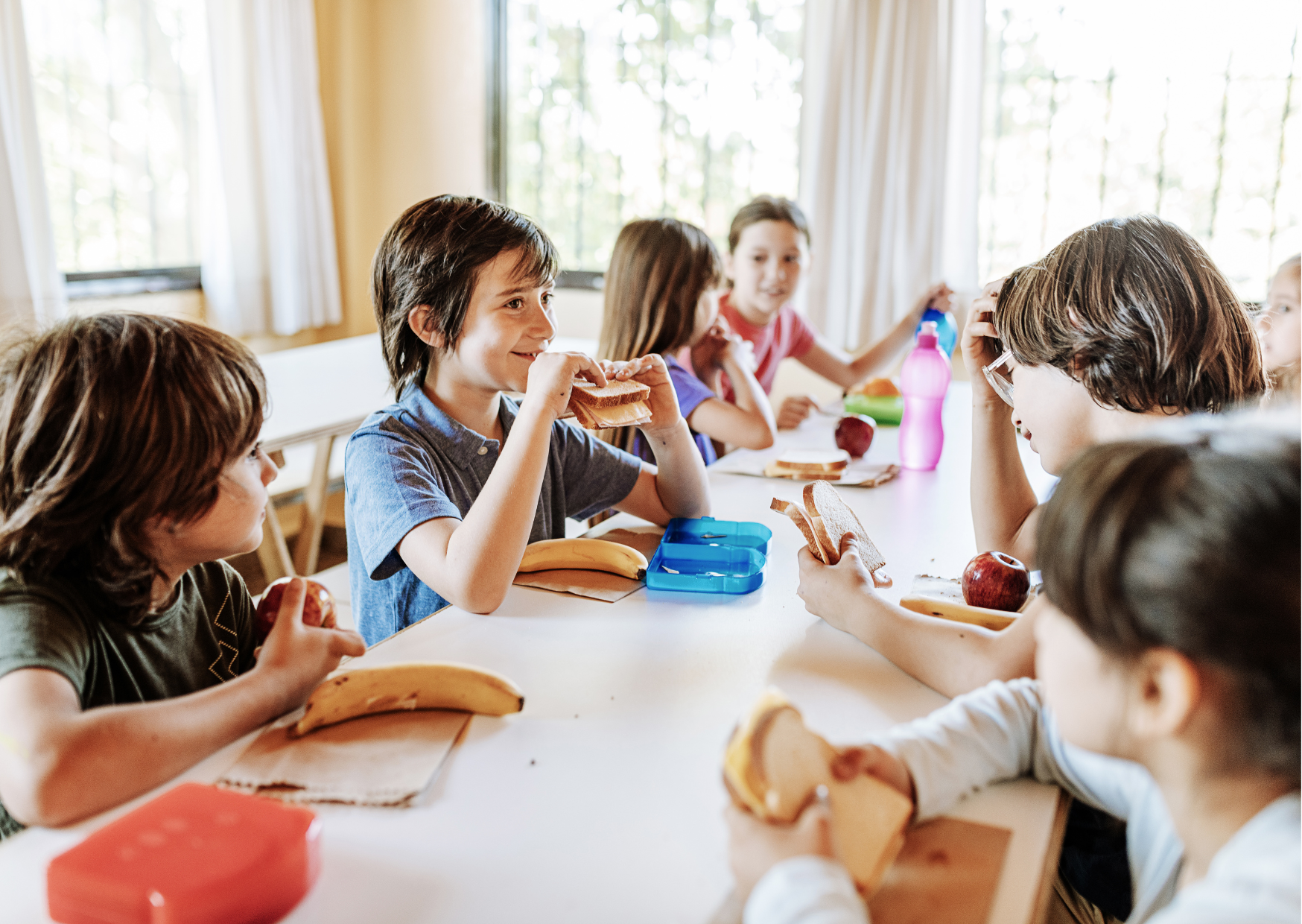 JOURNEY THROUGH SOCIAL-EMOTIONAL DEVELOPMENT AT SCHOOL